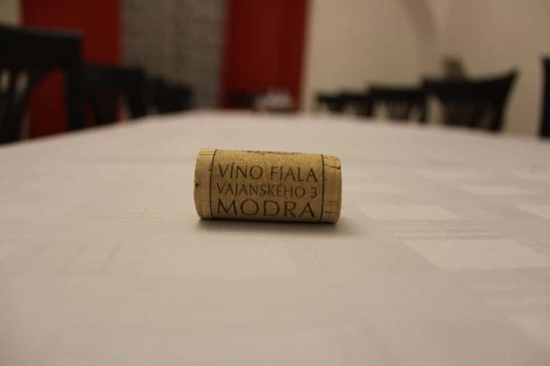 Modra: Private wine tasting guided by winery owner - Who Will Enjoy This Tour?