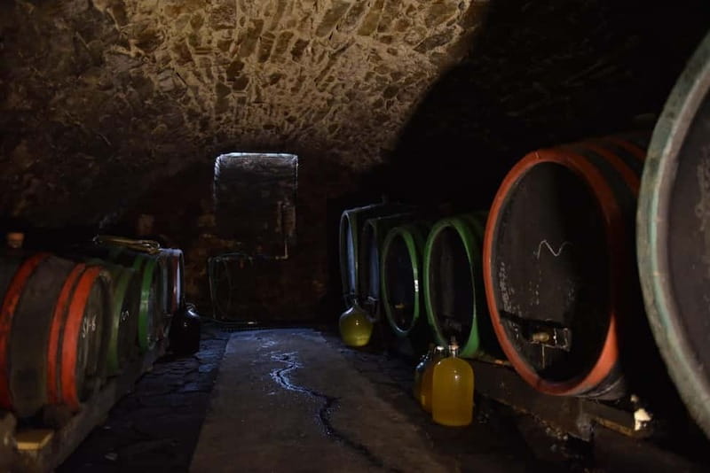 Modra: Private wine tasting guided by winery owner - Frequently Asked Questions