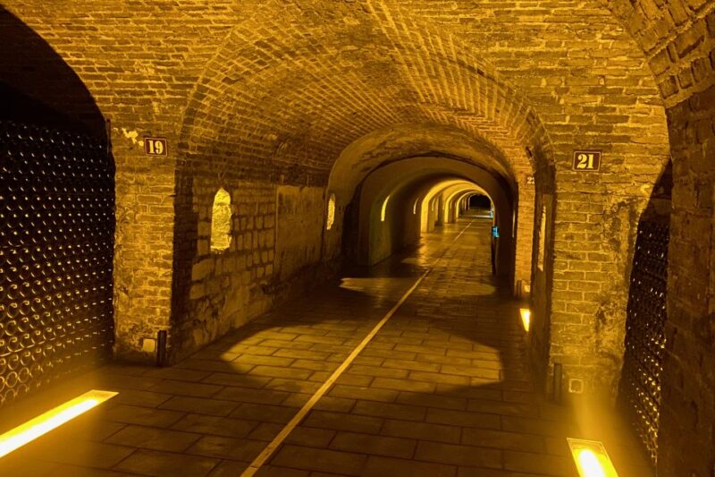 Moet et Chandon Pommery Pressoria Champagne Private trip - Champagne Tasting at Pommery and Reims Highlights