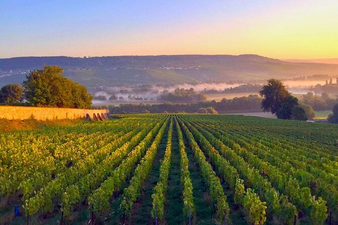 Moet et Chandon Pressoria Champagne Small Group from Paris - Final Champagne Tastings and Return to Paris