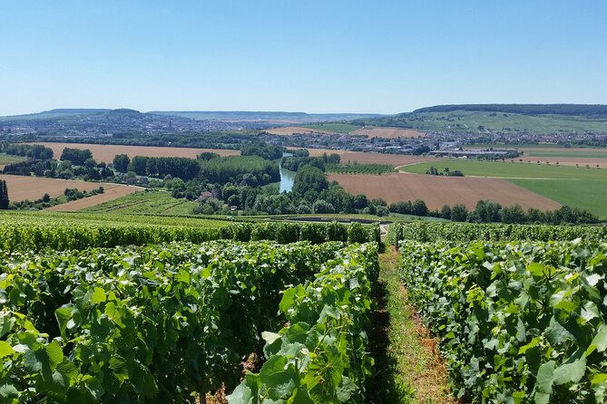 Moet et Chandon Tasting and Fun Private Tour in Champagne - Visiting Moët & Chandon in Épernay