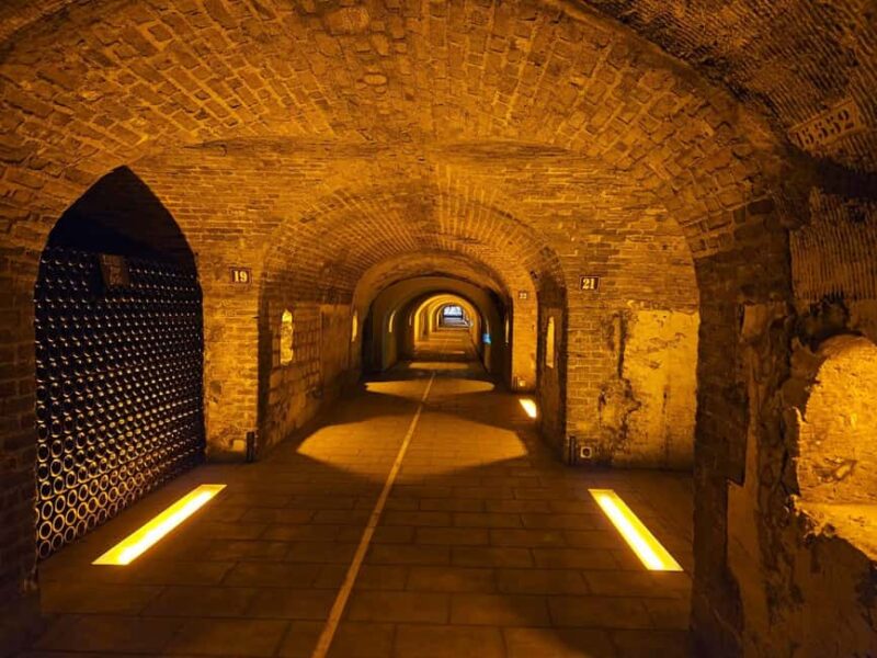 Moet et Chandon Tasting and Fun Private Tour in Champagne - Key Points