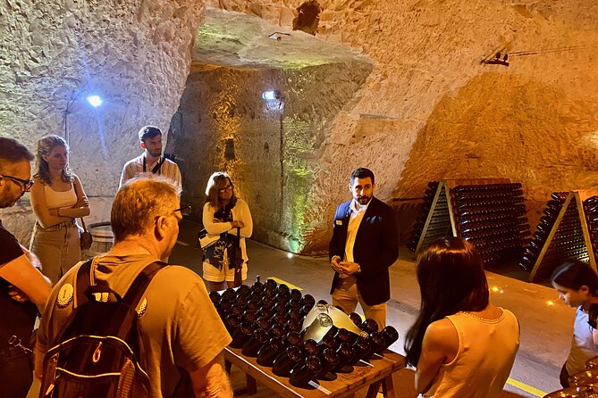 Moet et Chandon Veuve Clicquot Pommery Private Champagne Day trip - Comfortable Transportation in a Mercedes Minivan