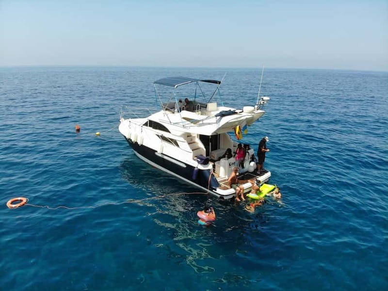 Mogan: Dolphin Watching Boat Trip with Swim Stop - Mogan: Dolphin Watching Boat Trip with Swim Stop - An Up-Cclose Marine Adventure in Gran Canaria