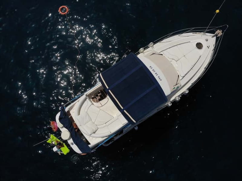 Mogan: Dolphin Watching Boat Trip with Swim Stop - Comparing to Similar Experiences in Gran Canaria