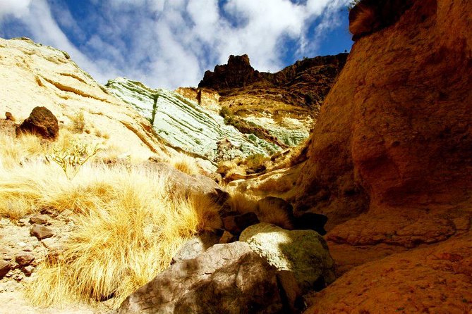 Mogán, La Aldea, Las Canteras - Big Island Tour Gran Canaria - Explore Gran Canaria’s Best in One Day on the Big Island Tour