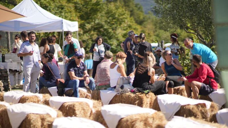 Moio della Civitella: Adopt a Vine and Grow Your Wine - Participating in Vineyard Experiences and Harvest Events