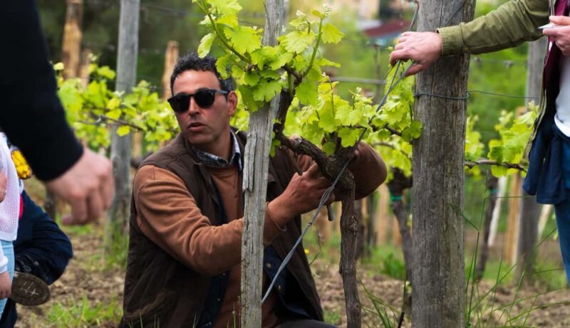 Moio della Civitella: Adopt a Vine and Grow Your Wine - Personalizing Your Connection with a Metal Plate and Certificate