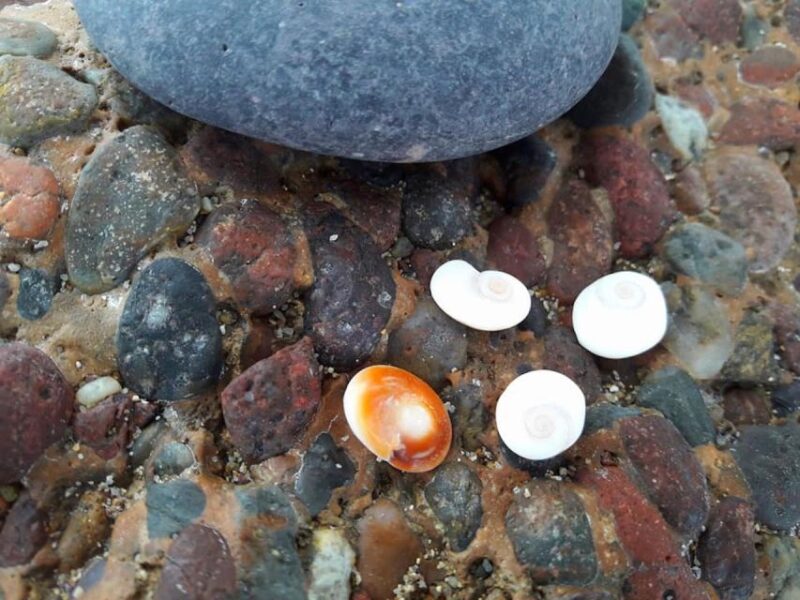 Moitié Terre, Moitié Mer - Visiting the Revellata Peninsula and Rocky Coves