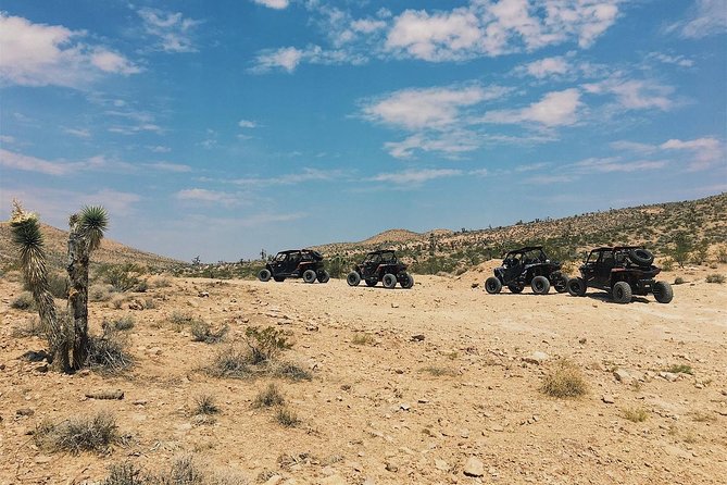 Mojave Desert Off Road RZR Tour in Las Vegas - The Undeniable Value of the Tour