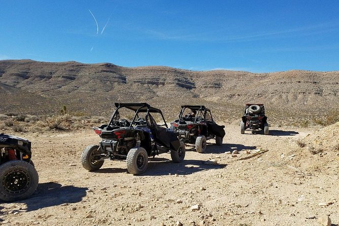 Mojave Desert Off Road RZR Tour in Las Vegas - Safety and Physical Requirements