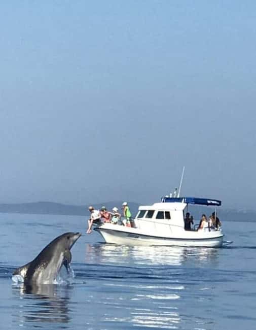 Molat Island Dolphin Watching Boat Tour 6hours TOUR - Price Transparency and Additional Fees