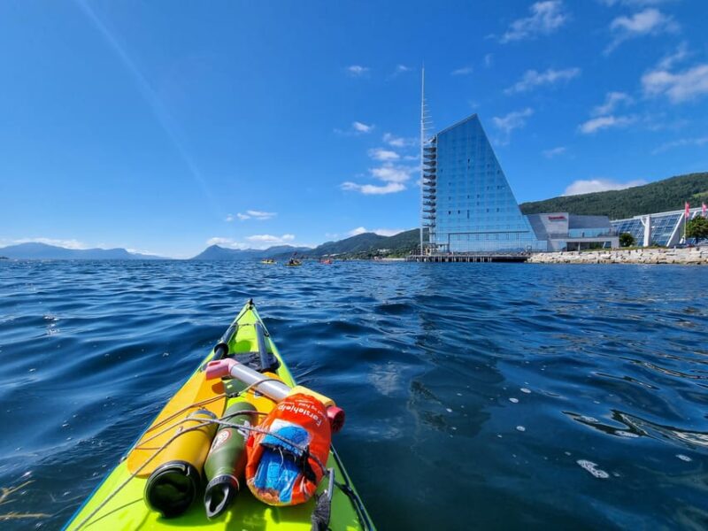 Molde - Guided kayak tour - Wildlife and Coastal Landscape Observations