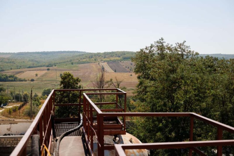 Moldova: Doina Winery Tour and Tasting - Discover Moldova’s Historic Doina Winery and Its 150 Years of Winemaking