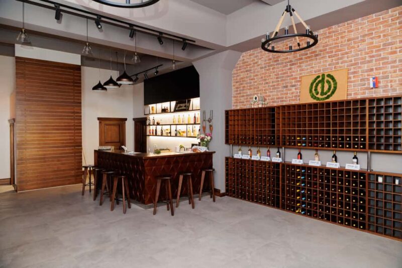 Moldova: Doina Winery Tour and Tasting - Tasting Moldova’s Signature Wines and Local Snacks