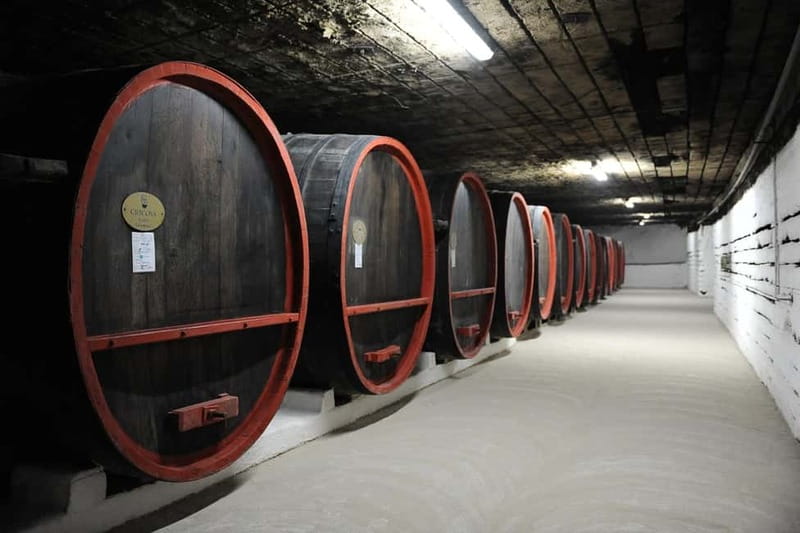 Moldova: Tour Cricova Winery with wine tasting &city tour - The Experience Provider: MoldovatoVisit&Tours