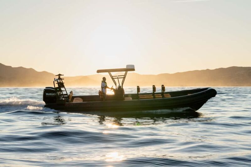 Molène Archipelago: Sea trips from Crozon. Seals, dolphins, - Discover the Wild Beauty of the Molène Archipelago with a 7-Hour Sea Trip from Crozon