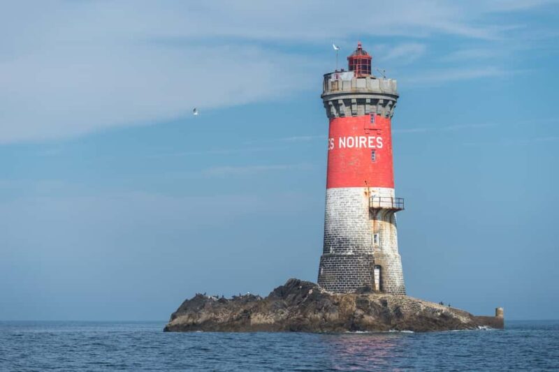 Molène Archipelago: Sea trips from Crozon. Seals, dolphins, - The Experience of the Guides and the Boat
