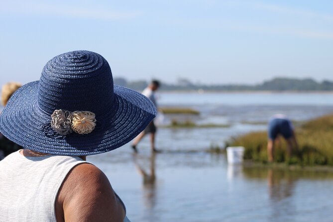 Moliceiro boat trip, with experience in bivalves harvesting - Booking and Cancellation Policies