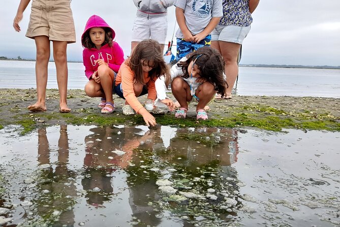 Moliceiro boat trip, with experience in bivalves harvesting - Who Will Love This Tour?