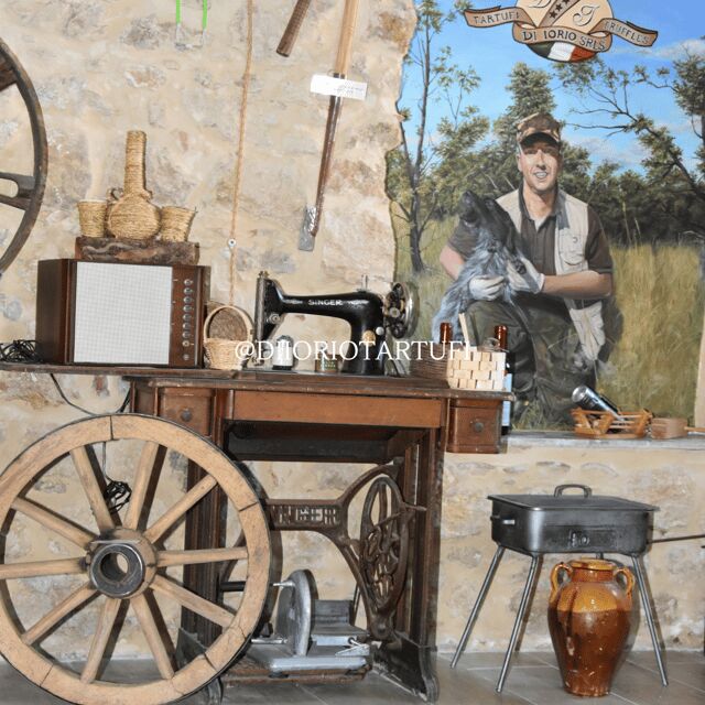 Molise: Di Iorio Truffles Truffle Museum Entry with food Tasting - Accessibility and Suitability for Visitors