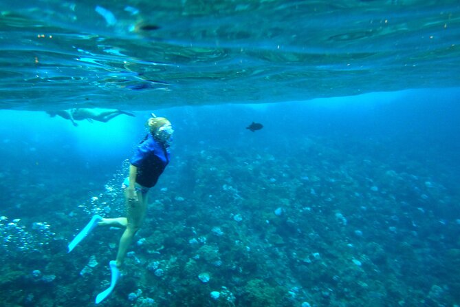 Molokini Crater Snorkeling Adventure - The Waterslide: Fun for Kids and Adults Alike