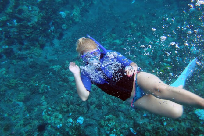 Molokini Crater Snorkeling Adventure - The Crew: Friendly, Knowledgeable, and Entertaining