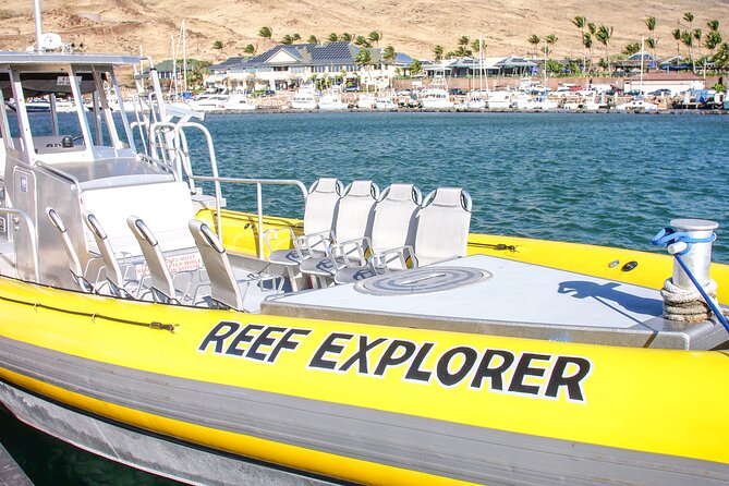 Molokini Crater Zodiac Adventure: Snorkel and Turtle Cove Swim - Wildlife Encounters Beyond Turtles