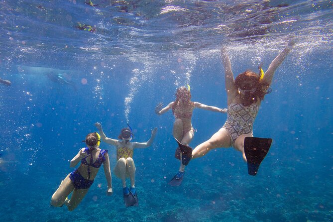 Molokini Snorkel and Performance Sail from Ma'alaea Harbor - Experience the Best of Mauis Marine Life and Sailing on the Molokini Snorkel and Performance Sail Tour