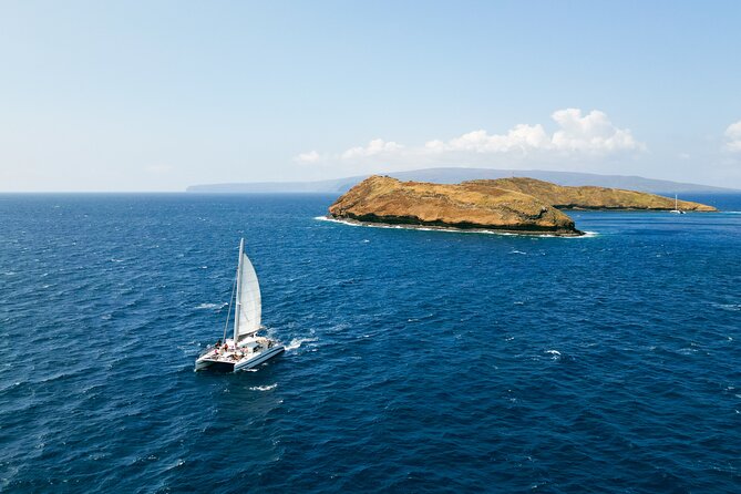 Molokini Snorkel and Performance Sail from Ma'alaea Harbor - Key Points