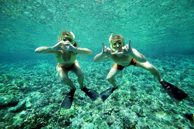 Molokini Snorkel and Performance Sail from Ma'alaea Harbor - Crew and Guide Quality