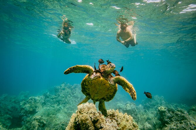 Molokini Snorkel Trip 2-Hour From Kihei - How the Trip Starts in Kihei and What You Can Expect