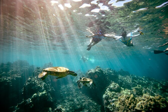 Molokini Snorkel Trip 2-Hour From Kihei - Final Thoughts on the Molokini Snorkel Trip from Kihei