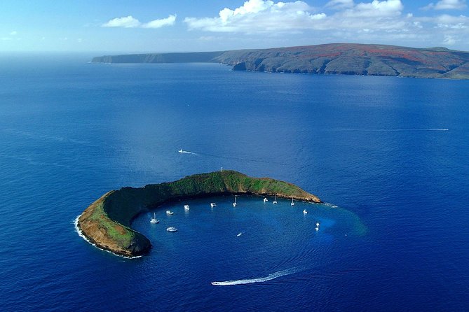 Molokini Snorkeling Adventure Aboard Calypso From Ma'alaea Harbor - Meeting Point at Maalaea Harbor