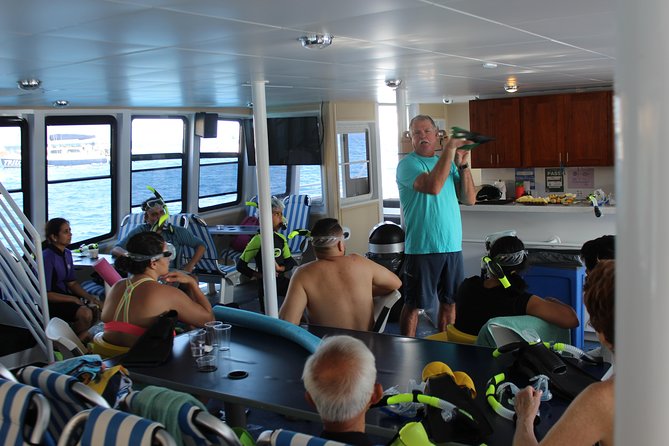 Molokini Snorkeling Adventure Aboard Calypso From Ma'alaea Harbor - The Experience for Different Types of Travelers