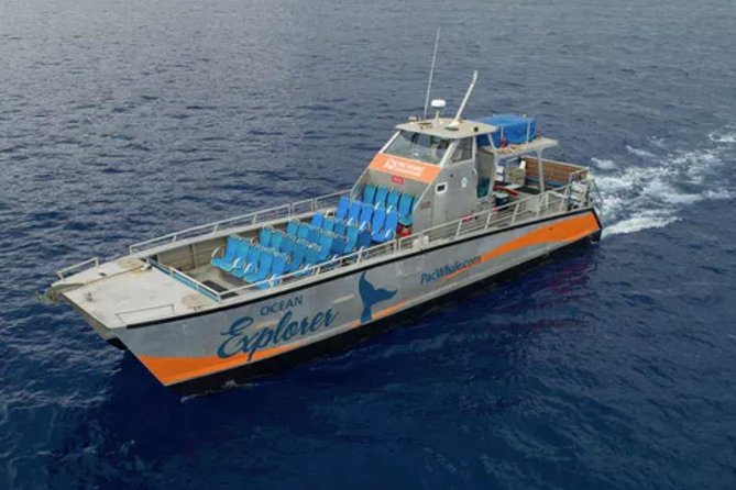 Molokini & Turtle Adventure: Small Group from Ma'alaea Harbor - What Makes This Tour Stand Out: Small Group & Eco Focus