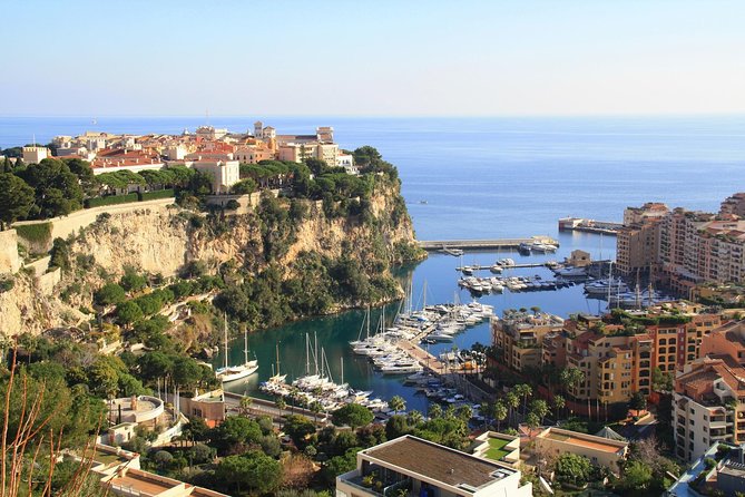 Monaco and Eze Small Group Day Trip from Cannes - Tour Logistics: Group Size, Timing, and Accessibility