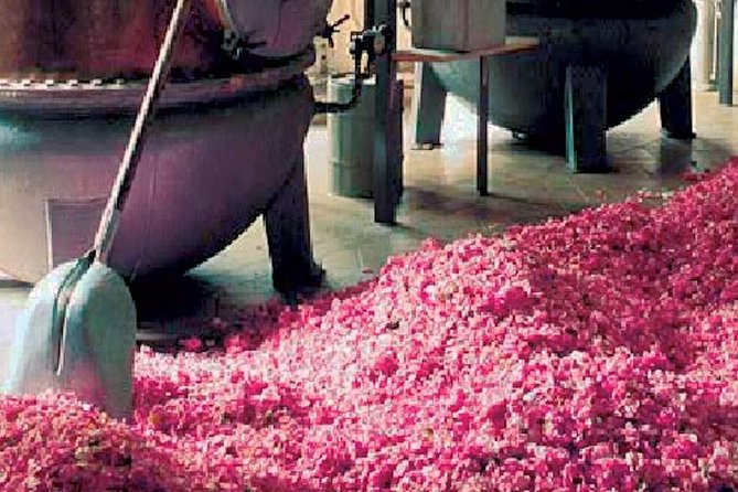 Monaco and Perched Medieval Villages - private & Guided Tour - Tasting the Sights and Scent at French Riviera’s Villages