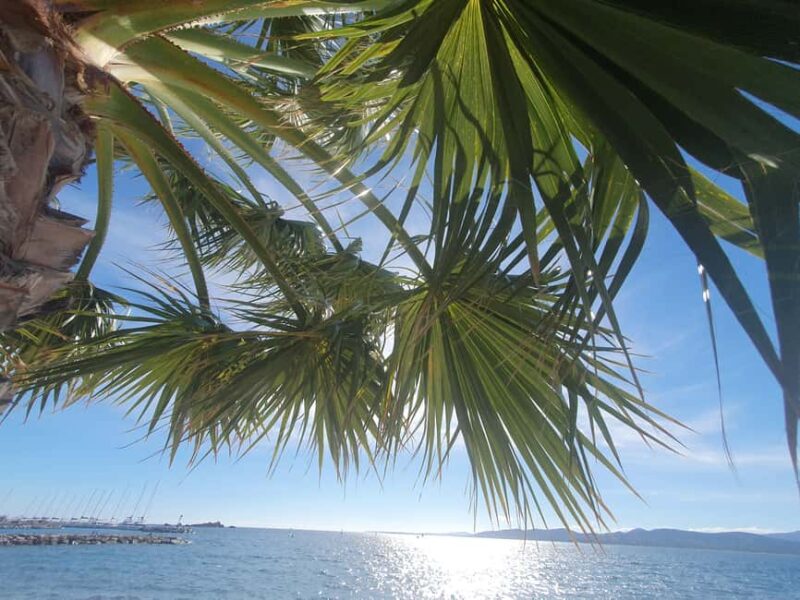 Monaco: Guided Tour with Oceanographic Museum & Prince Cars - Exploring the Monte Carlo Opera House in 15 Minutes