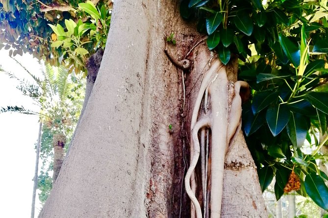 Monaco & Monte-Carlo: Classics & Hidden Gems - Walking & Boat - Admiring the Neo-Bizantine Cathedral of Notre-Dame-Immaculée