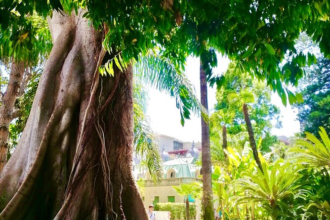 Monaco & Monte-Carlo: Classics & Hidden Gems - Walking & Boat - Crossing Port Hercule by Electric Solar Boat