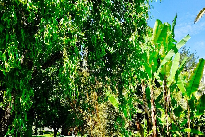 Monaco & Monte-Carlo: Classics & Hidden Gems - Walking & Boat - Stopping at Port Hercule: The Heart of Monacos Marina