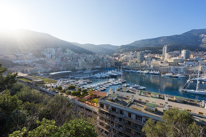 Monaco Private Walking Tour With A Professional Guide - Key Points
