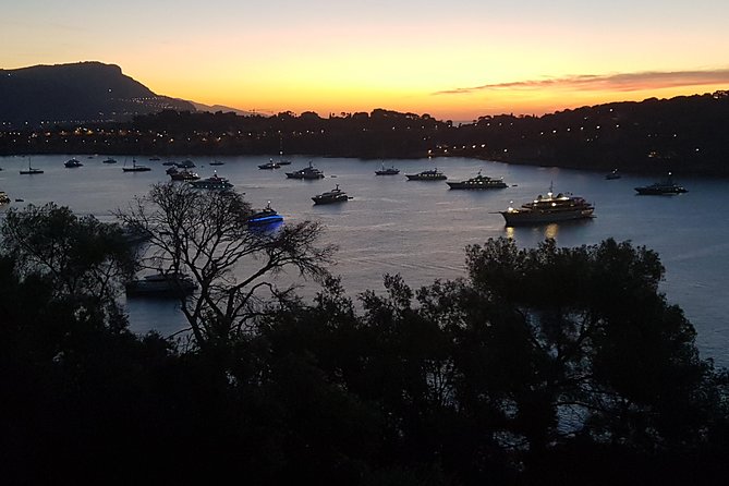 MONACO Shore Excursion : Private Tour French Riviera Highlights - Exploring Monaco’s Famous Casino and Palace