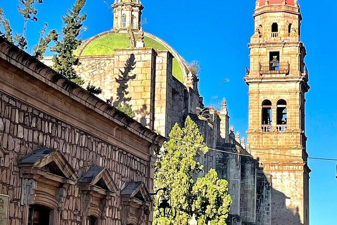 Monarch Butterflies Experience - Witnessing the Monarch Butterfly Migration in Central Mexico