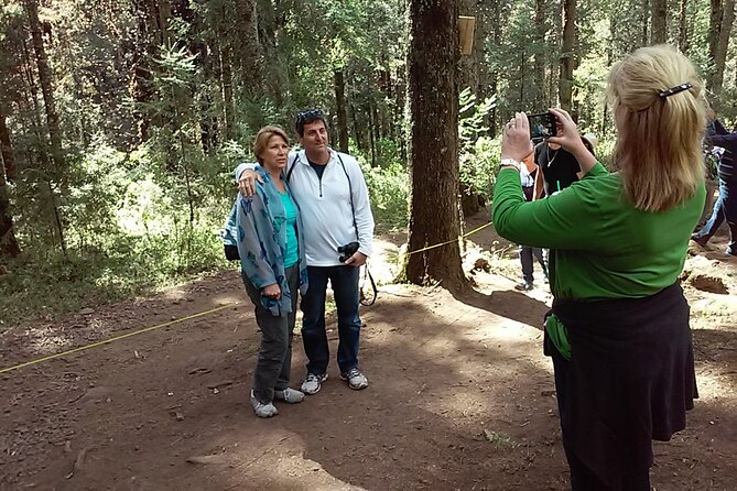 Monarch Butterfly Private Tour (Morelia) - Cultural Significance and Local Scenery