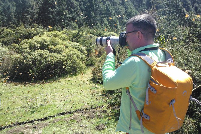 Monarch Butterfly Private Tour (Morelia) - The Role of the Expert Guide Alfredo
