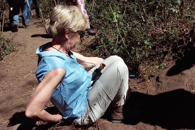 Monarch Butterfly Private Tour (Morelia) - Practical Tips and Considerations