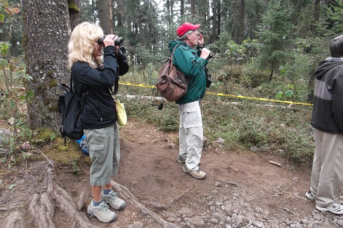Monarch Butterfly Private Tour (Morelia) - Comparing Similar Tours and Unique Advantages