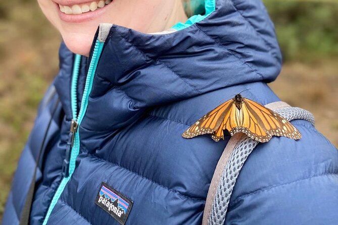 Monarch Butterfly Tour Mexico: Sierra Chuincua and Magic Town - Discover the Monarch Butterfly Tour in Mexico City for an Unmatched Nature Encounter